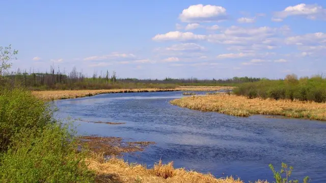 La Loche River and marshy banks